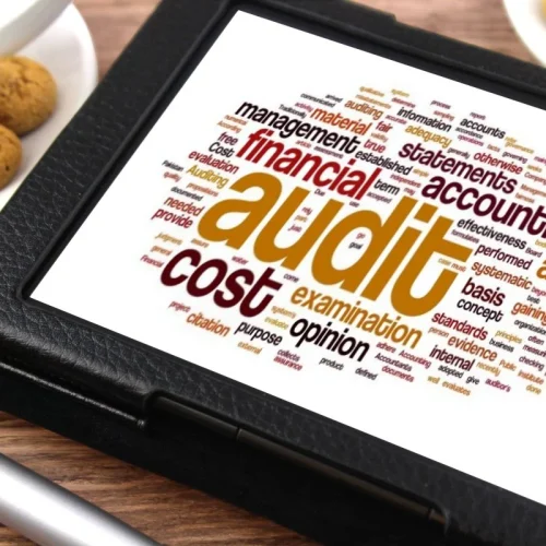 opini audit