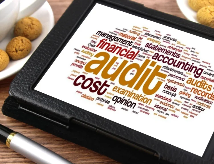 opini audit