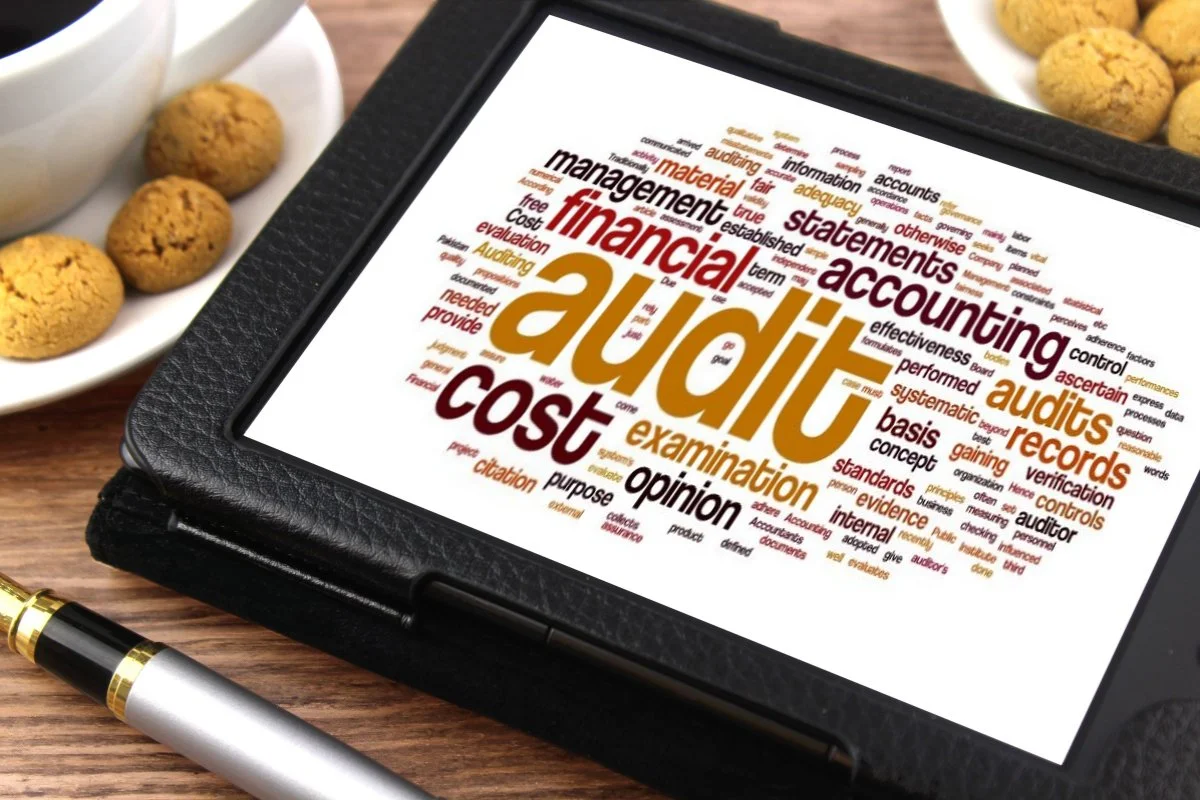 opini audit