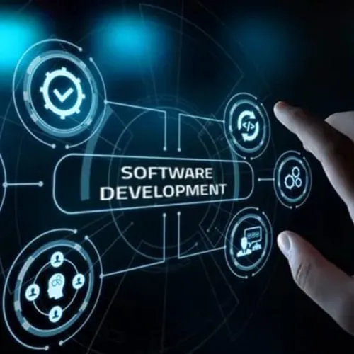 custom software development