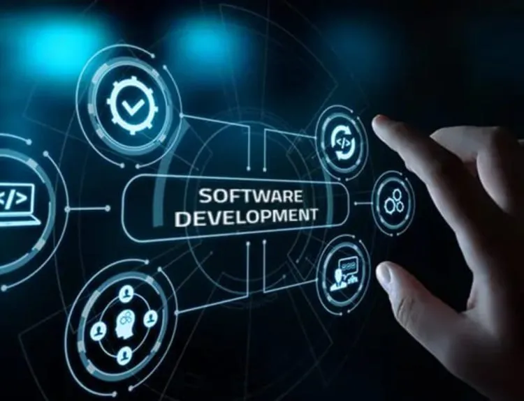 custom software development